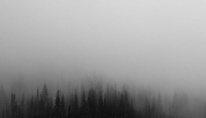 article_image_2