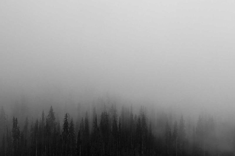 article_image_2